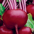 Свёкла столовая Несравненная А-463